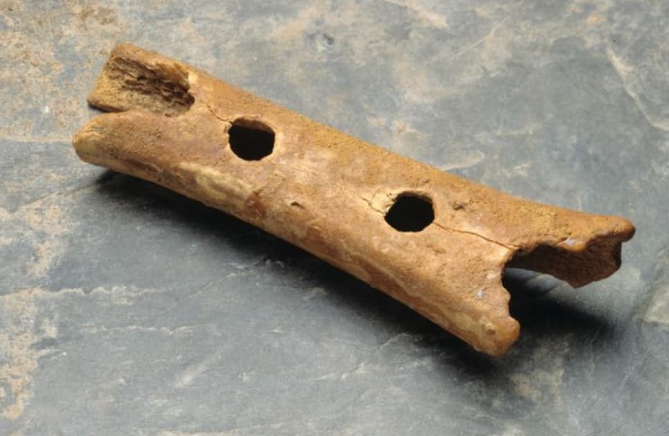 oldest instrument